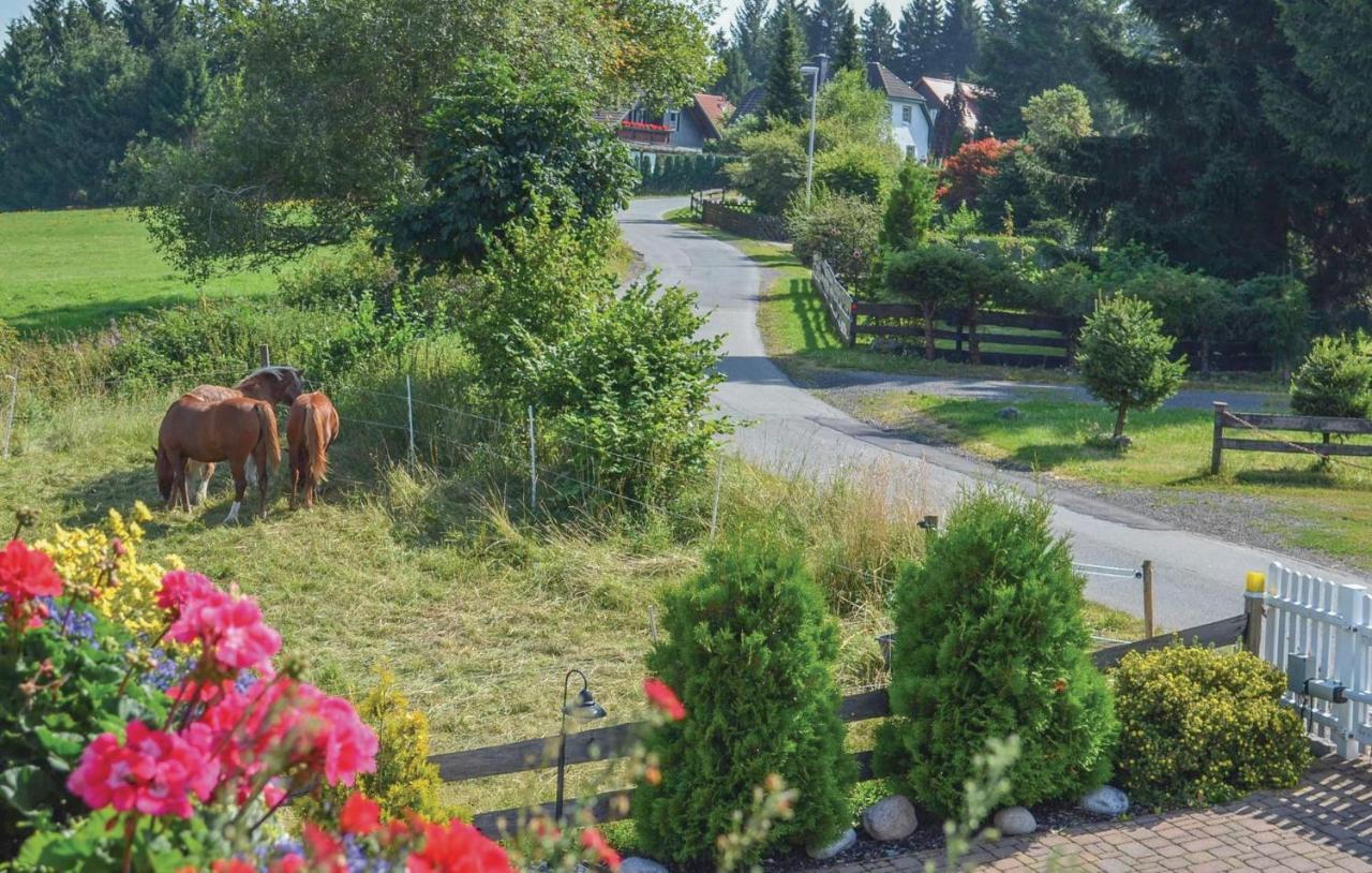 Galerie Haus * Braunlage